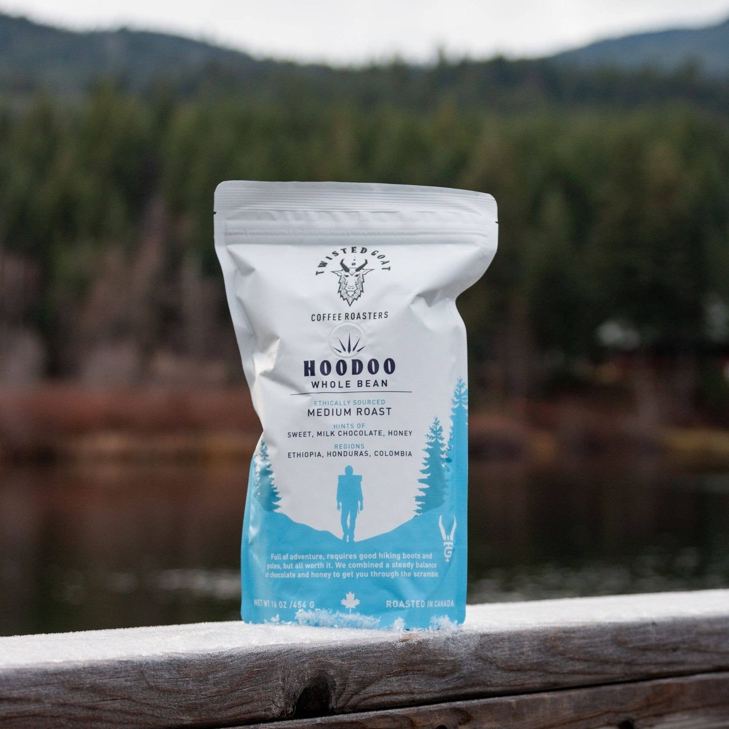 Hoodoo | Whole Bean Coffee | Medium Roast | 1lb