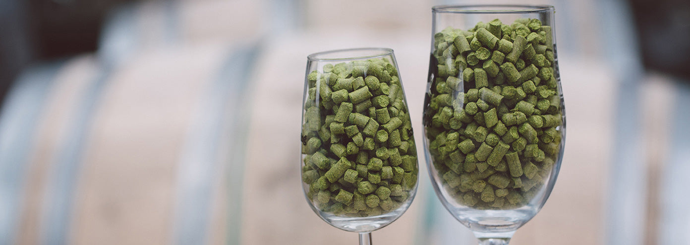 Specialty Hops 1lb