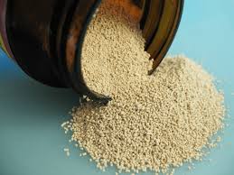 Distillers Yeast Dady Red Star